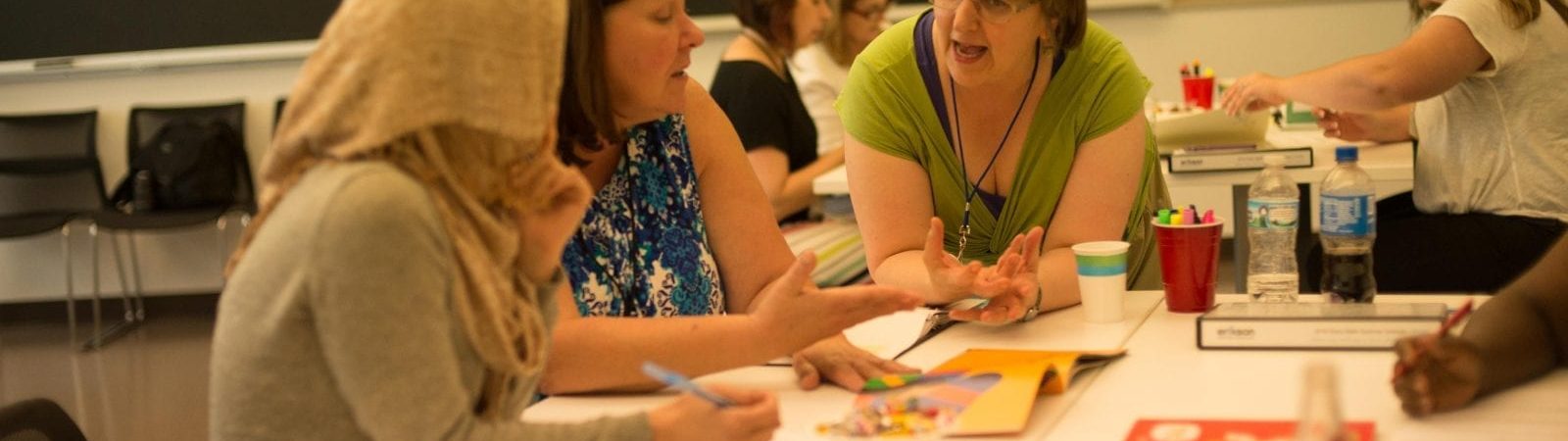 Early Mathematics Collaborative's Summer Institute: Meaning-Making in Early Mathematics Education (MEME)